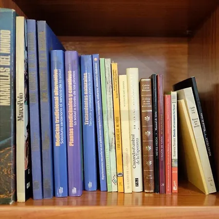 Apartament Cabrales - Parking Gratis - Wifi - A Un Paso Del Centro Gijón